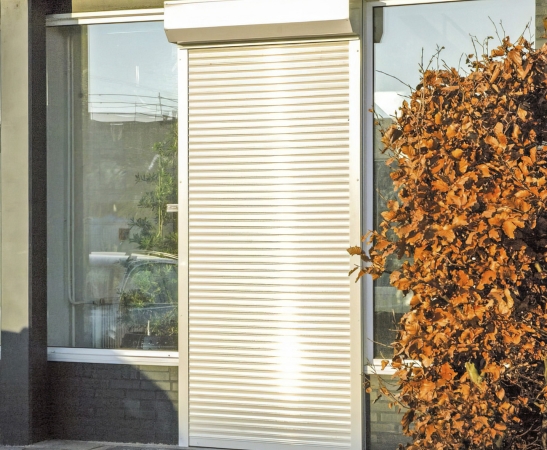 Рольставни на двери в Донском